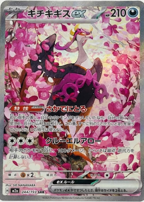 キチキギスex SAR