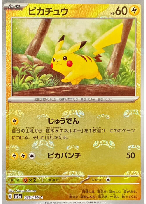 ピカチュウ マスターボールミラー