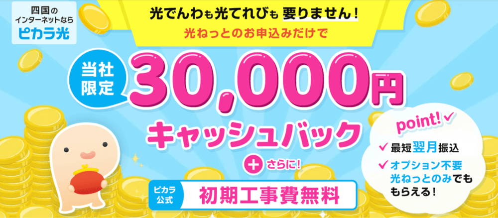 ピカラ光 画像